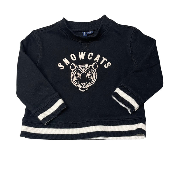 Janie and Jack | Snowcats Pullover | 12-18 months