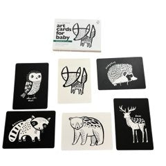 High Contrast Vision Development Cards