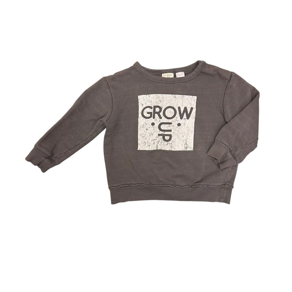 Zara | Grow Up Pullover | 2-3t