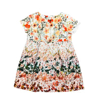 Zara | Dress | 4t (fits like 3t)