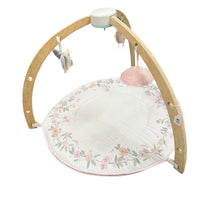 Aden + Anais Baby Gym