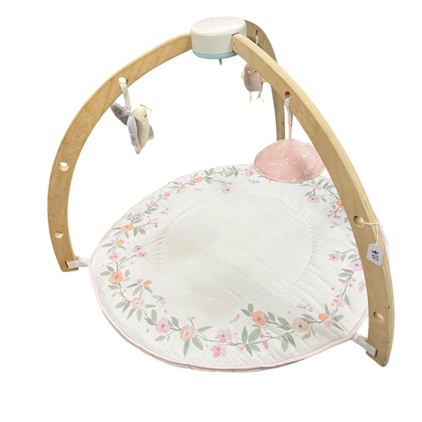 Aden + Anais Baby Gym