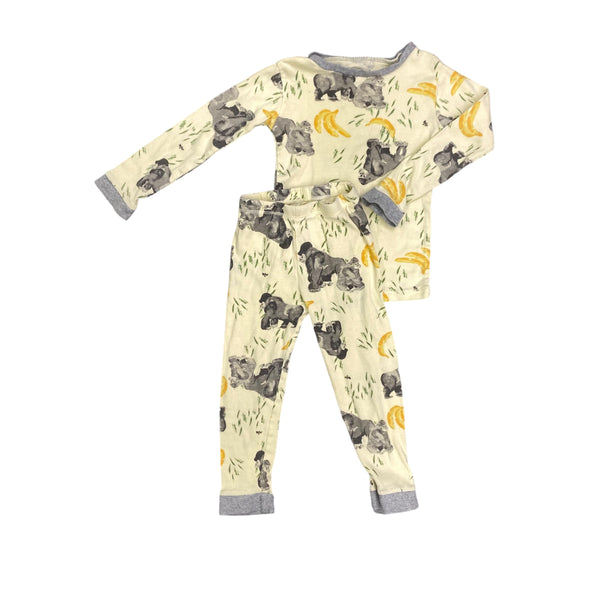 Burts Bees | Pajama Set  | 3t