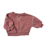 Zara | Sweatshirt | 6-9m