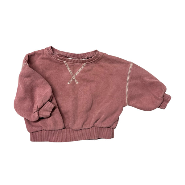 Zara | Sweatshirt | 6-9m