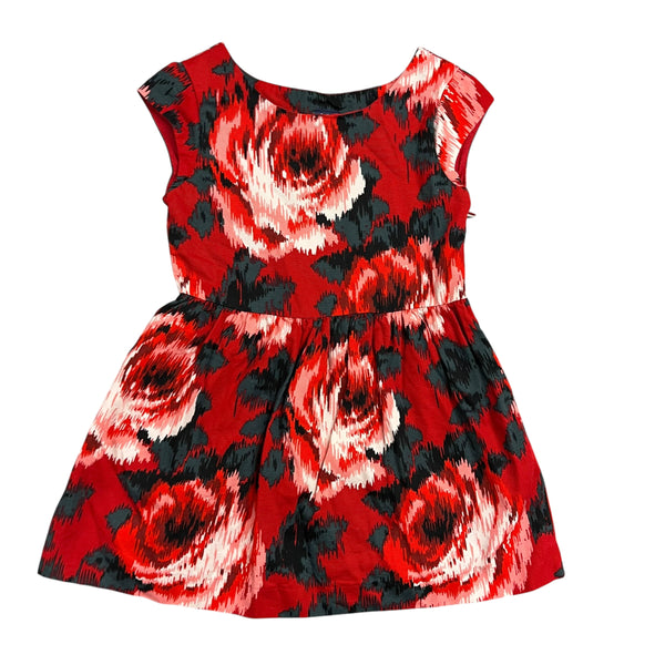 Gap | Rose Dress | 4-5t