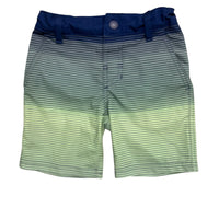 Art Class | Swim Shorts | 4t