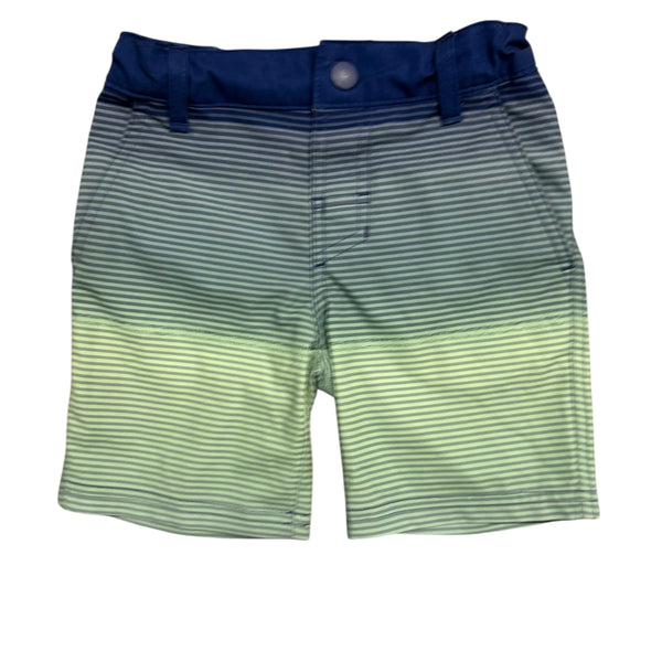 Art Class | Swim Shorts | 4t