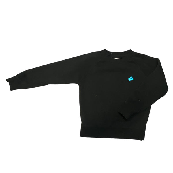 Sawyer | Pullover | 3t